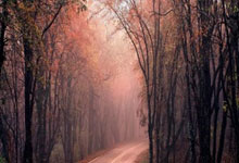 凌晨2点，沙特土豪6分大战！C罗冲击20球，为亚冠资格拼了.