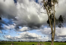 亚星体育：中超：青岛海牛主场战平大连英博 牟鹏飞补时扑点中国新闻网.