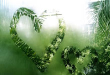 亚星体育：速滑名将高亭宇将不参加本赛季剩余比赛.