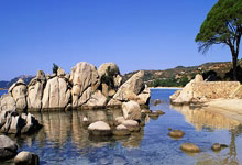 德媒：科曼缺战奥格斯堡 格雷茨卡出战成疑 格雷罗能否出战明天定.